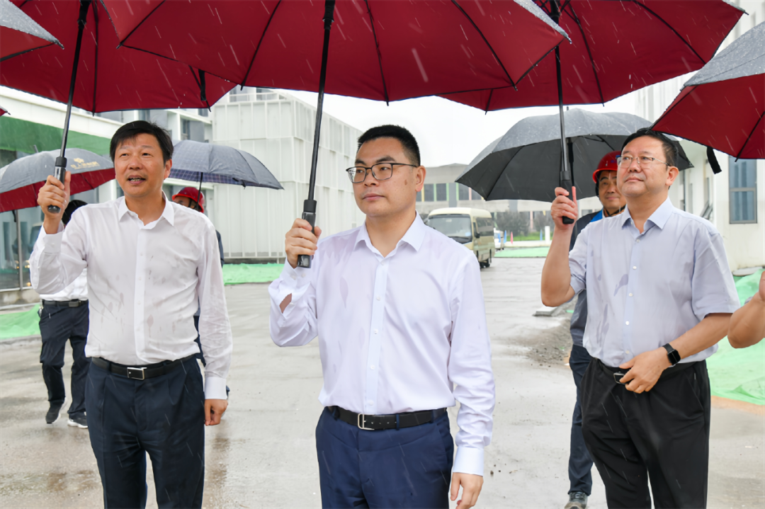 1754442491450267DQNo.png 1754442491450267DQNo.png